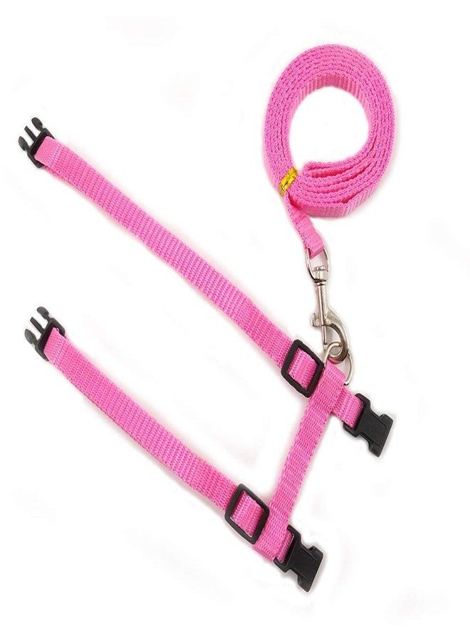 Pups&Pets Nylon Harness Leash Set for Cat Kitten and Small Pet Nylon Harness Strap Collar | Cat Training Leash (Plain, Pink) - Image 5